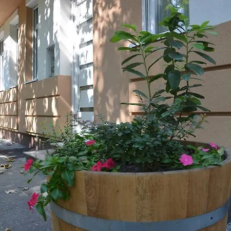 Bodza アパート エゲル